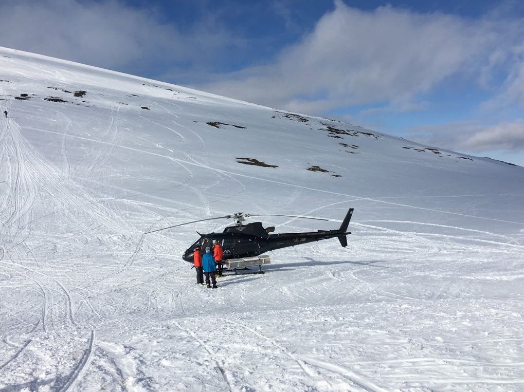 Suede heliski Suede heliski