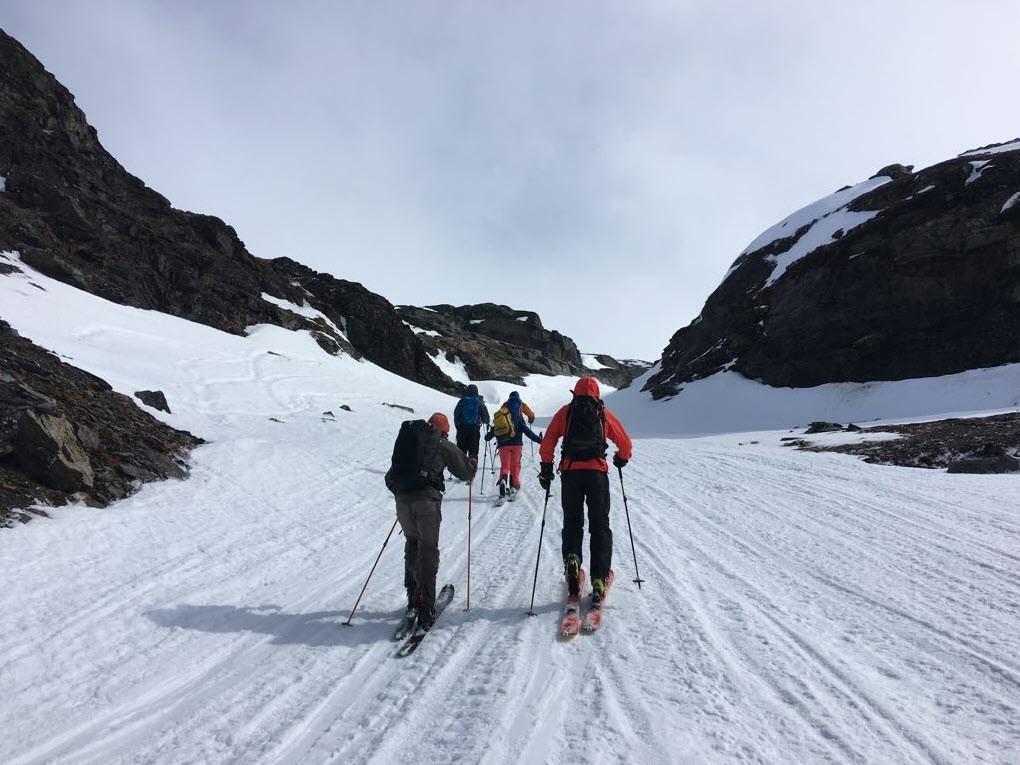 Ski rando Suede Laponie Ski rando Suede Laponie