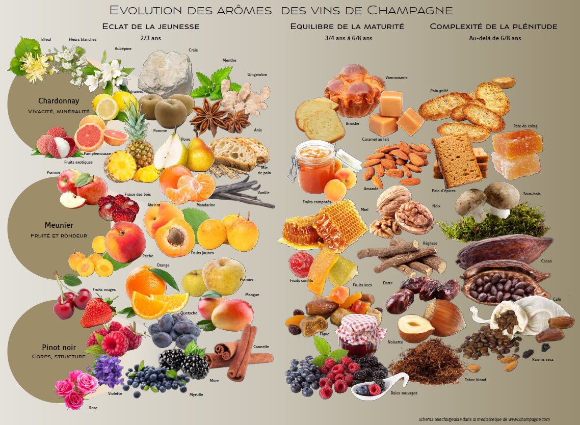Quel Champagne pour quel plat Quel Champagne pour quel plat