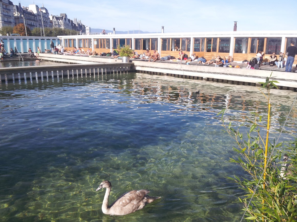 Piscine amenagee dans le lac Piscine amenagee dans le lac
