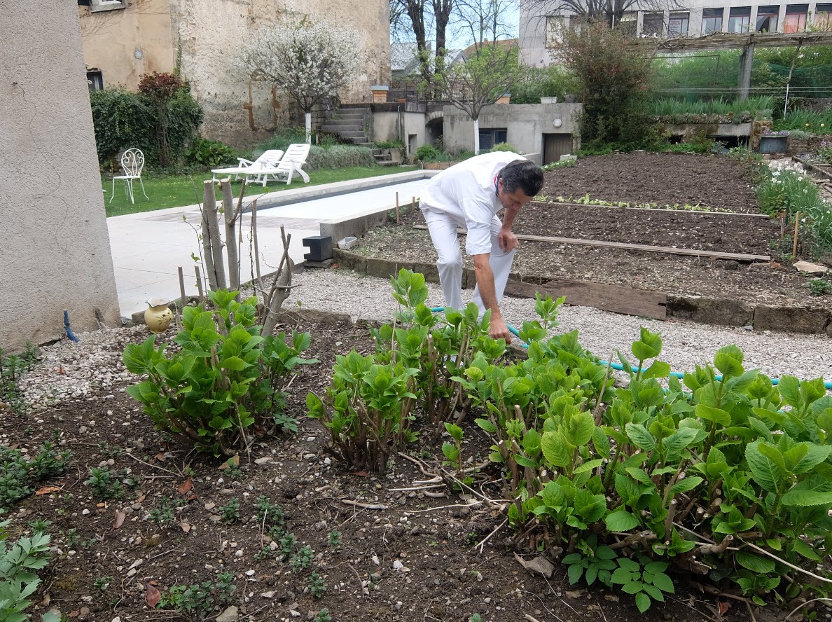 Jardin aromatique Jardin aromatique