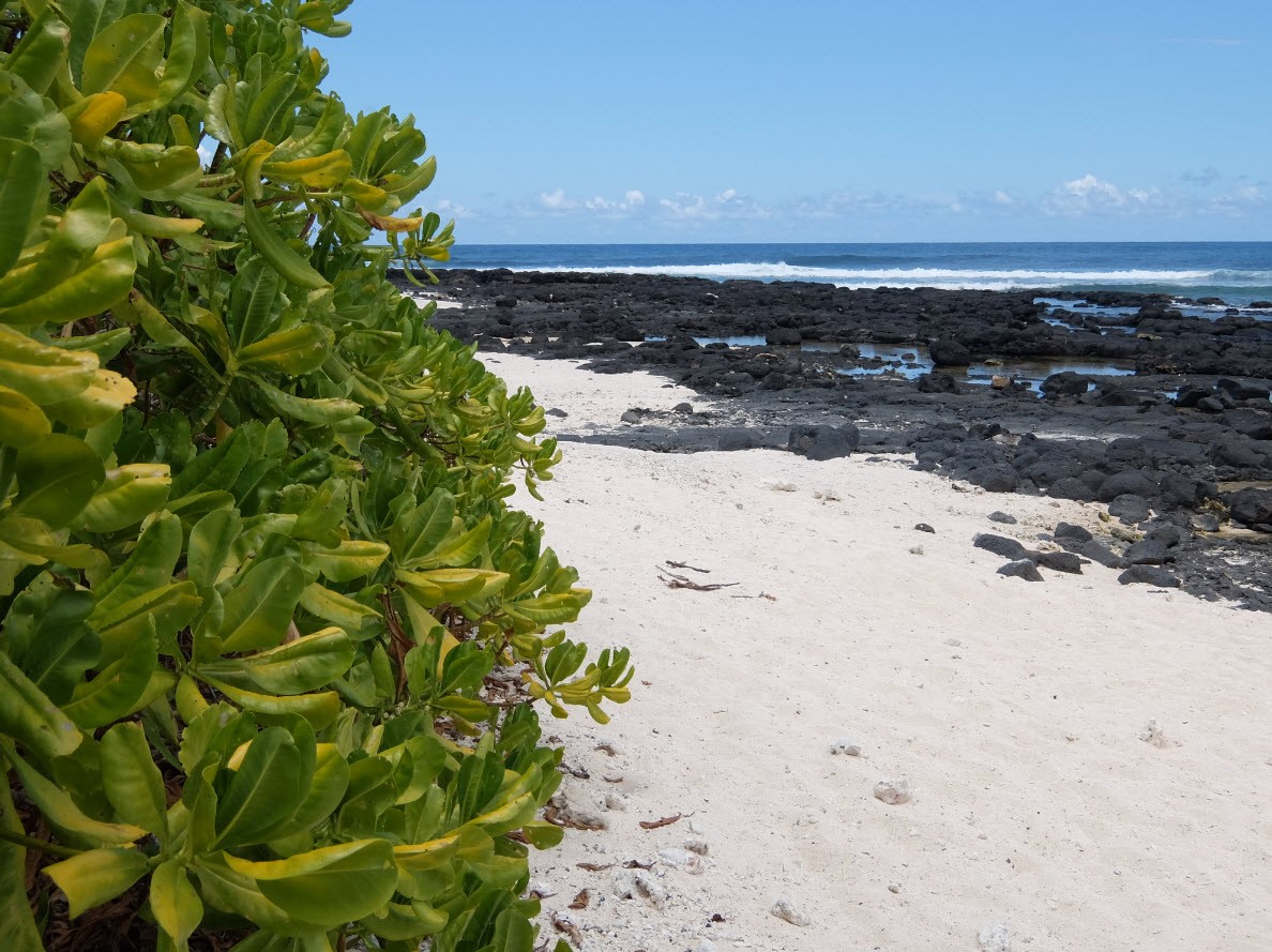 Plage cachee pour jouer a Robinson Crusoe Plage cachee pour jouer a Robinson Crusoe