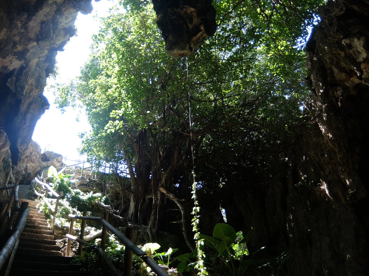 Sortie de la grotte naturelle Rodrigues Sortie de la grotte naturelle Rodrigues