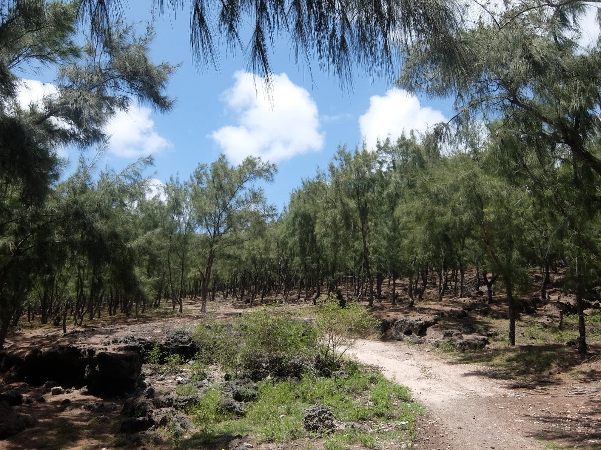 Chemin de randonnee Chemin de randonnee