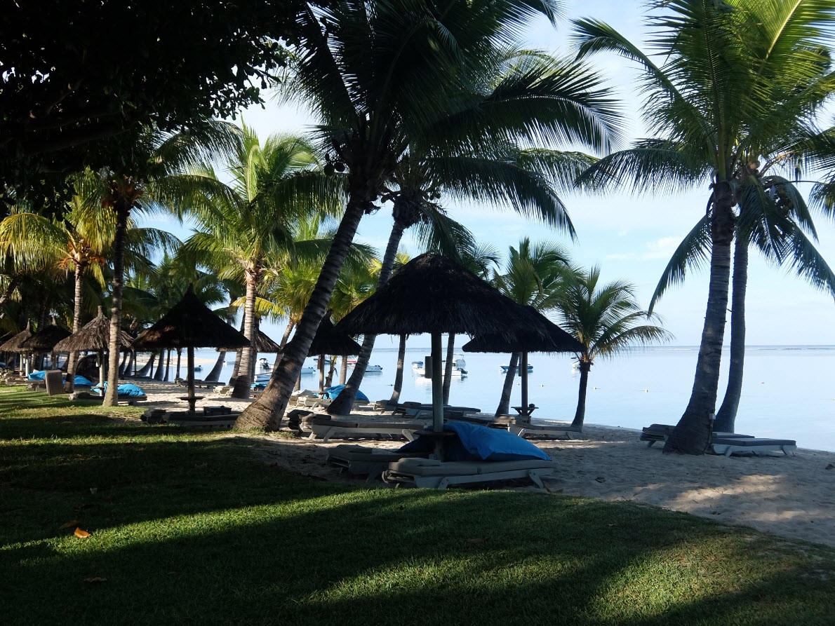 Plage tot le matin Plage tot le matin