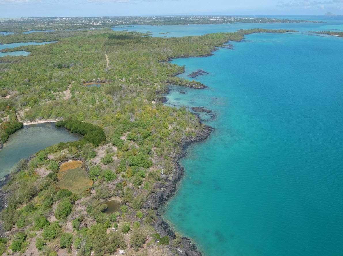 Ile sauvage Ile sauvage