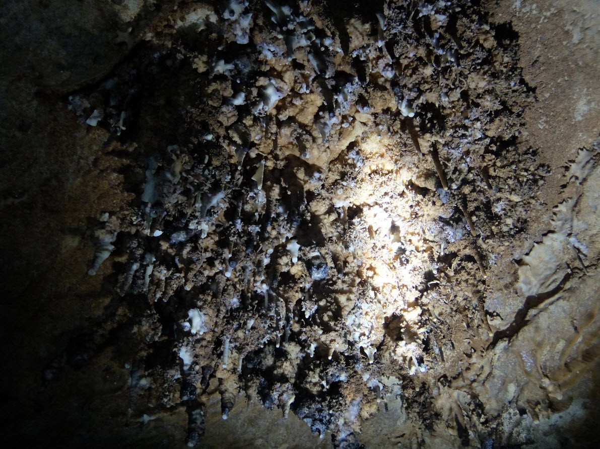Interieur de la grotte Interieur de la grotte