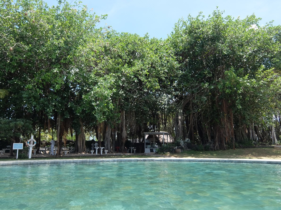 Piscine des adultes dans un cadre romantique Piscine des adultes dans un cadre romantique