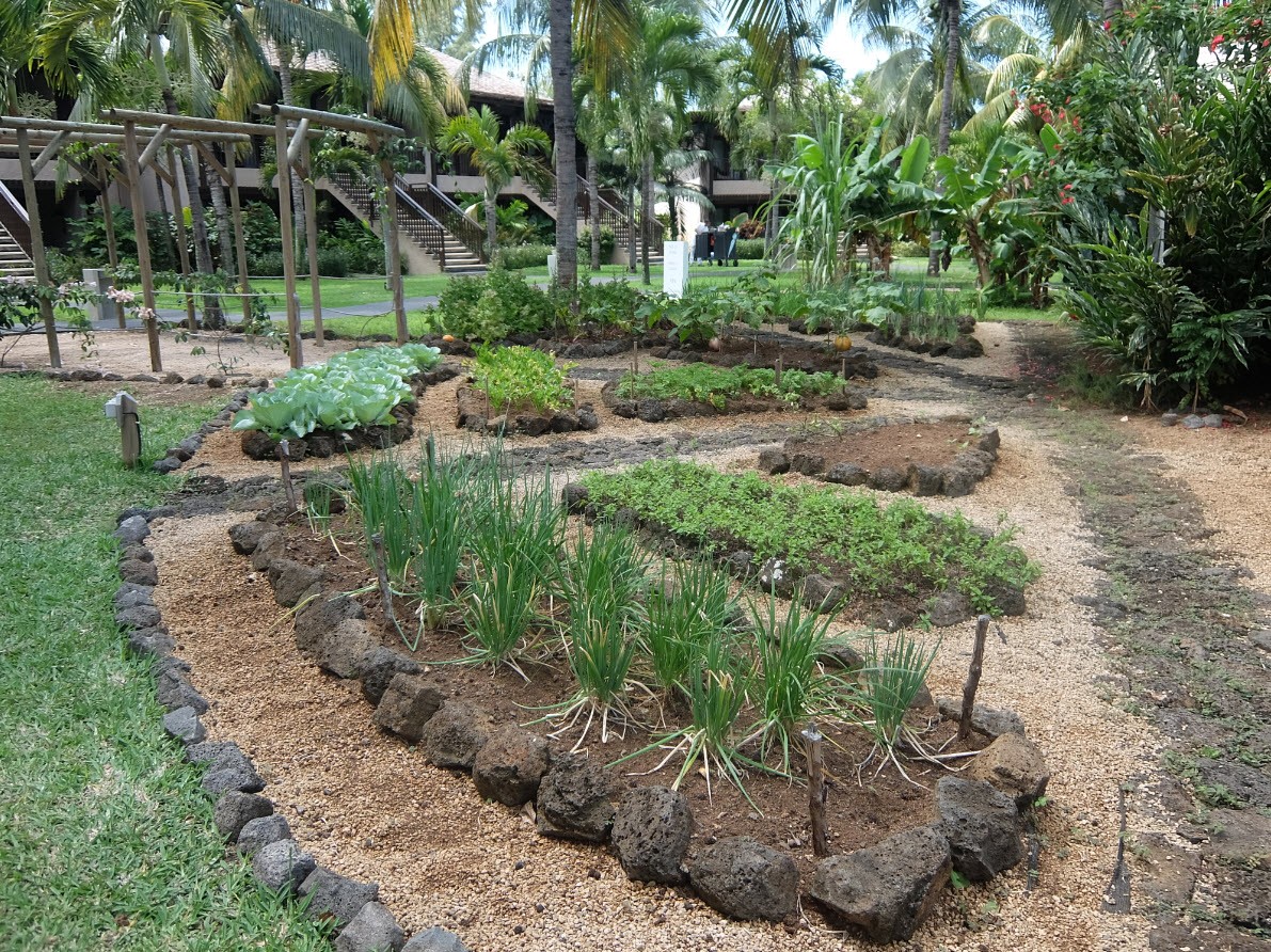 Jardin potager Jardin potager