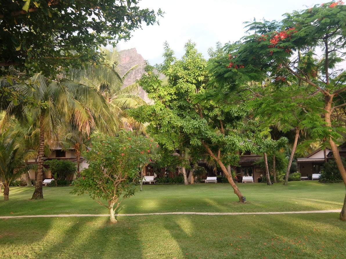Chambres avec Le Morne au-dessus Chambres avec Le Morne au-dessus