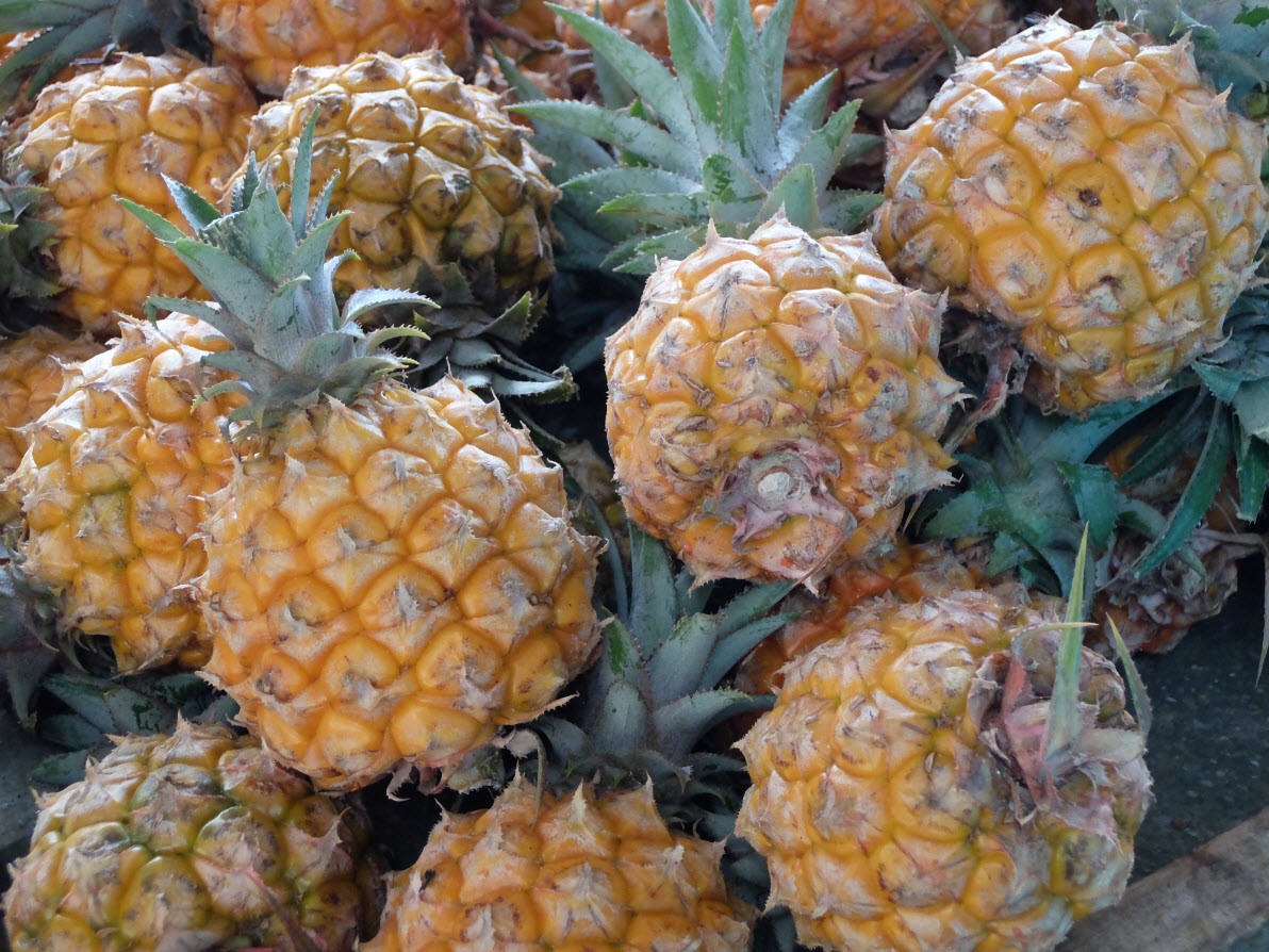Mini ananas Mini ananas
