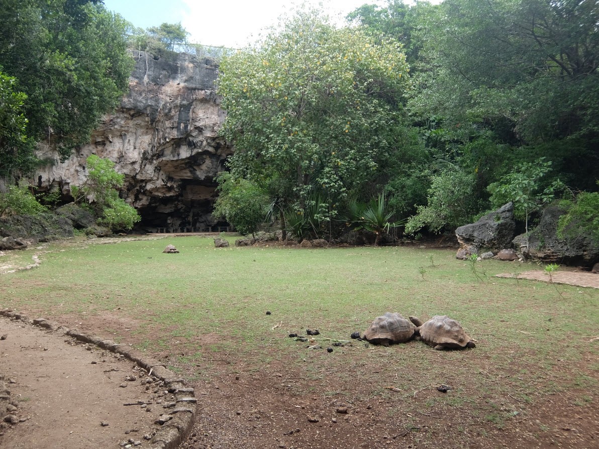 Grand espace de la reserve Grand espace de la reserve