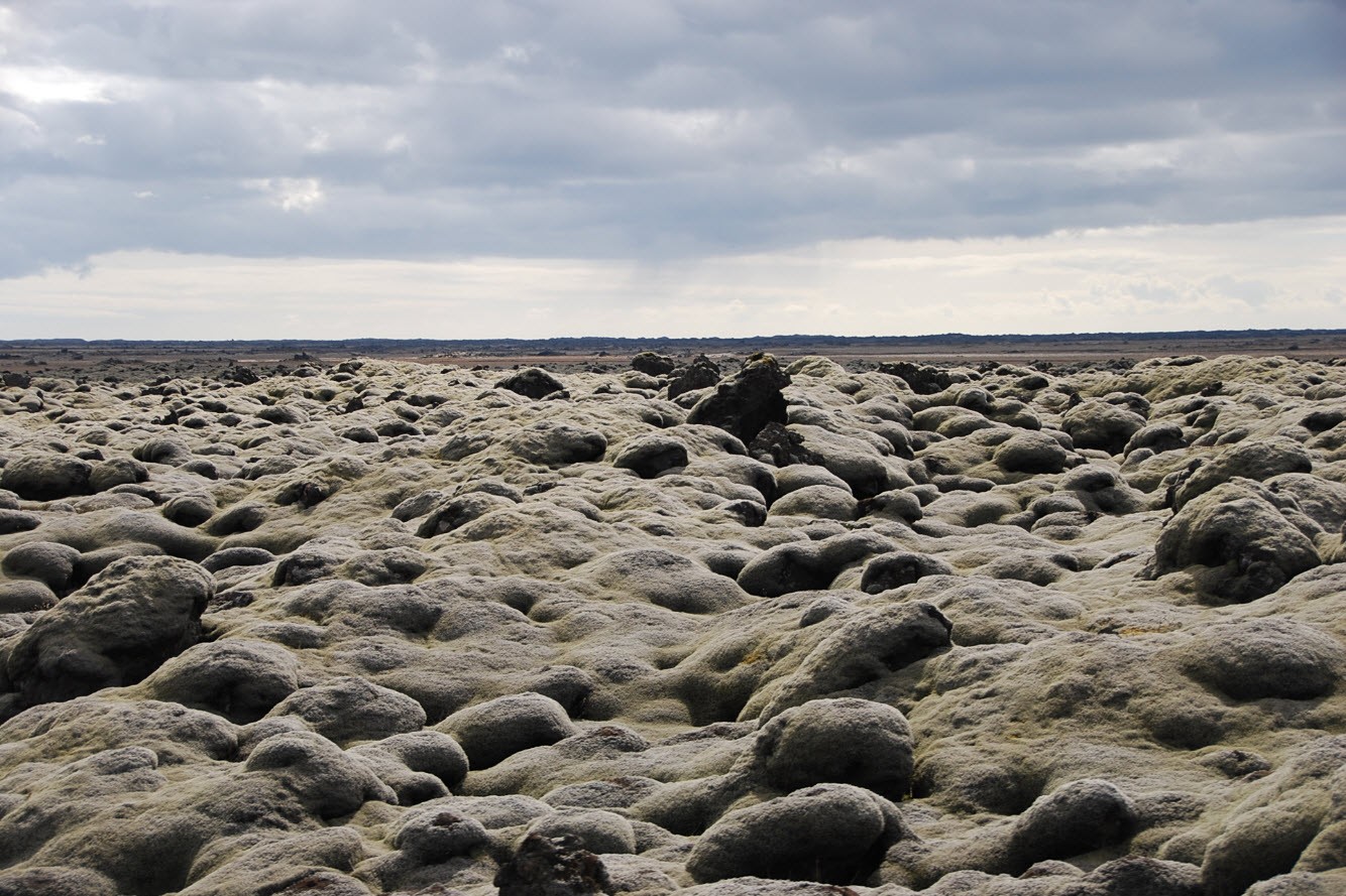 Itineraire tour Islande champs de mousse Itineraire tour Islande champs de mousse