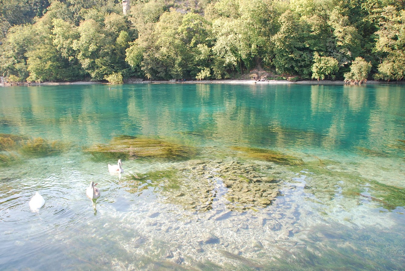 Baignade naturelle Geneve Baignade naturelle Geneve