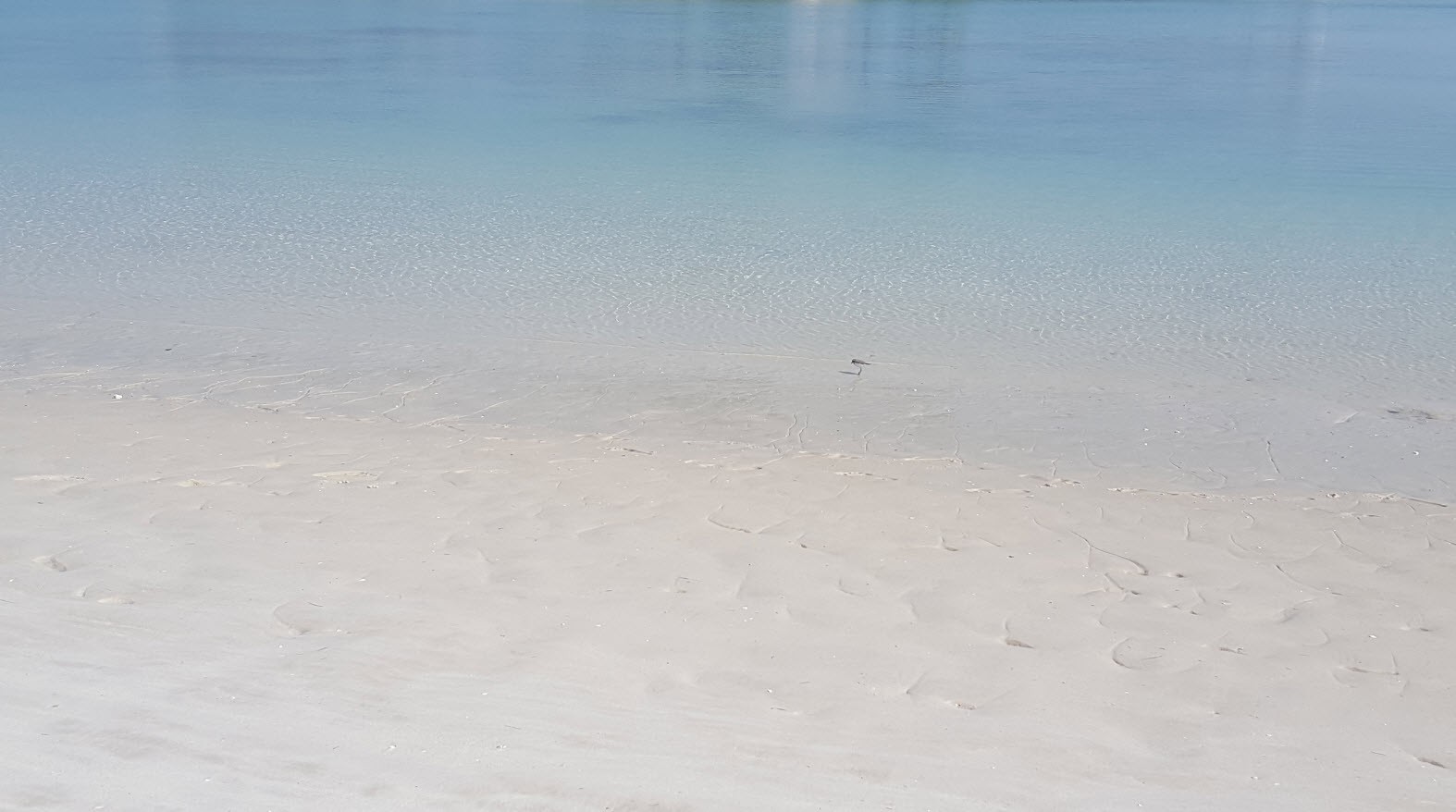 Couleur de l'eau Couleur de l'eau