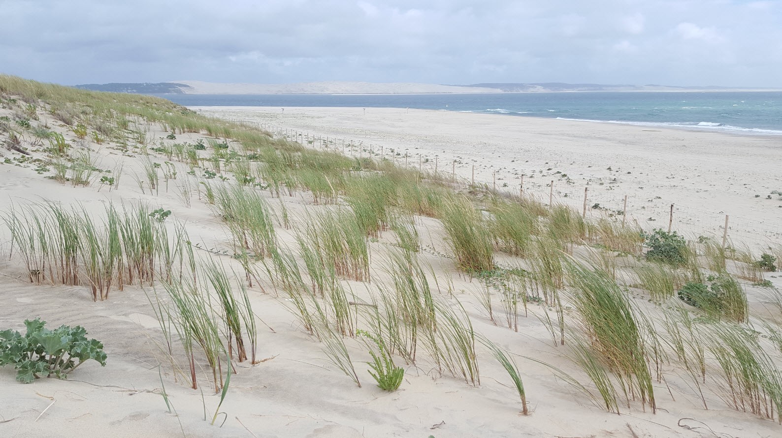 Dune du Pyla depuis le Cap Ferret Dune du Pyla depuis le Cap Ferret