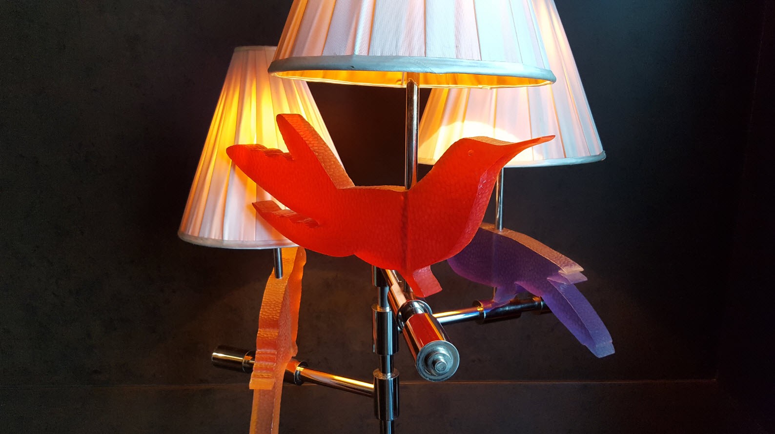 Oiseau Oiseau
