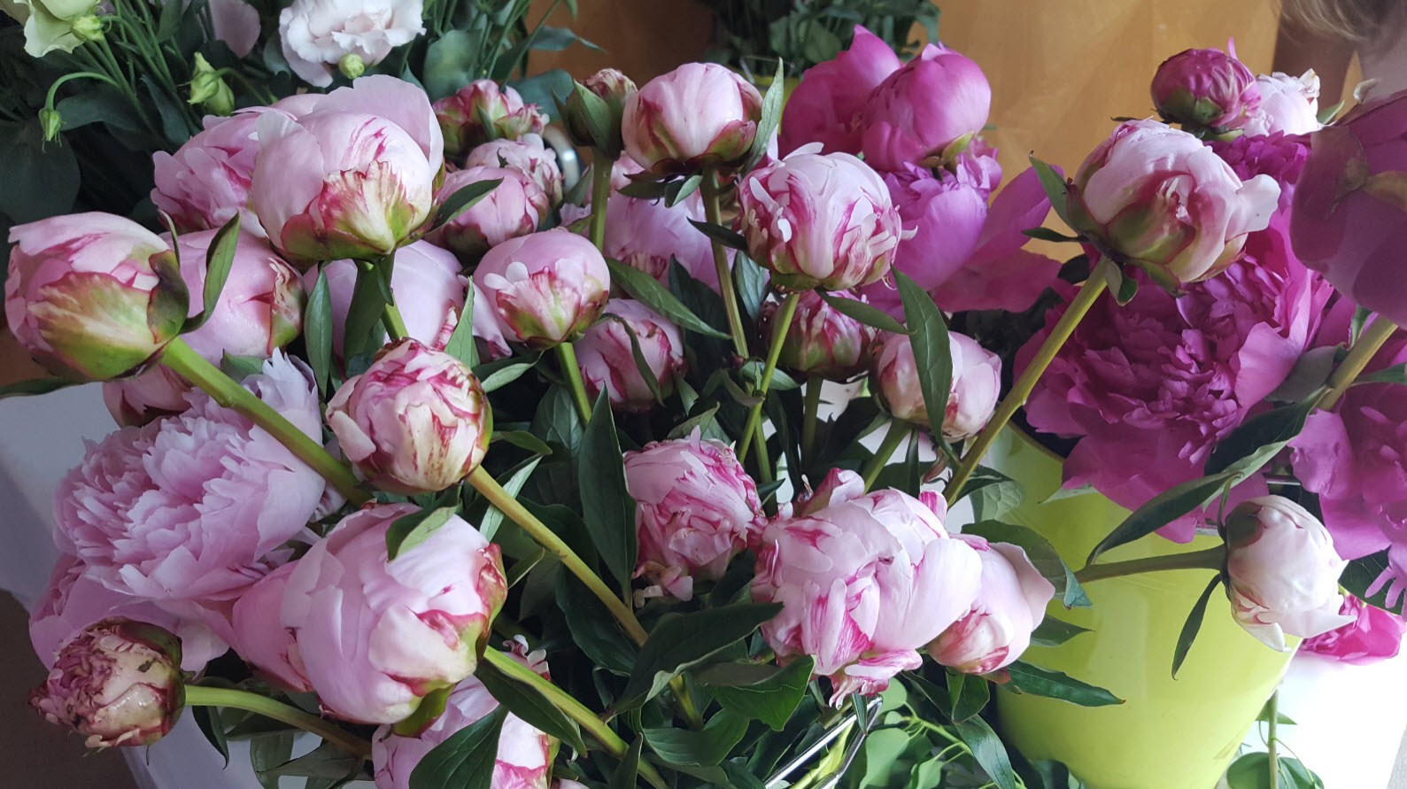 Fleurs fraiches Fleurs fraiches