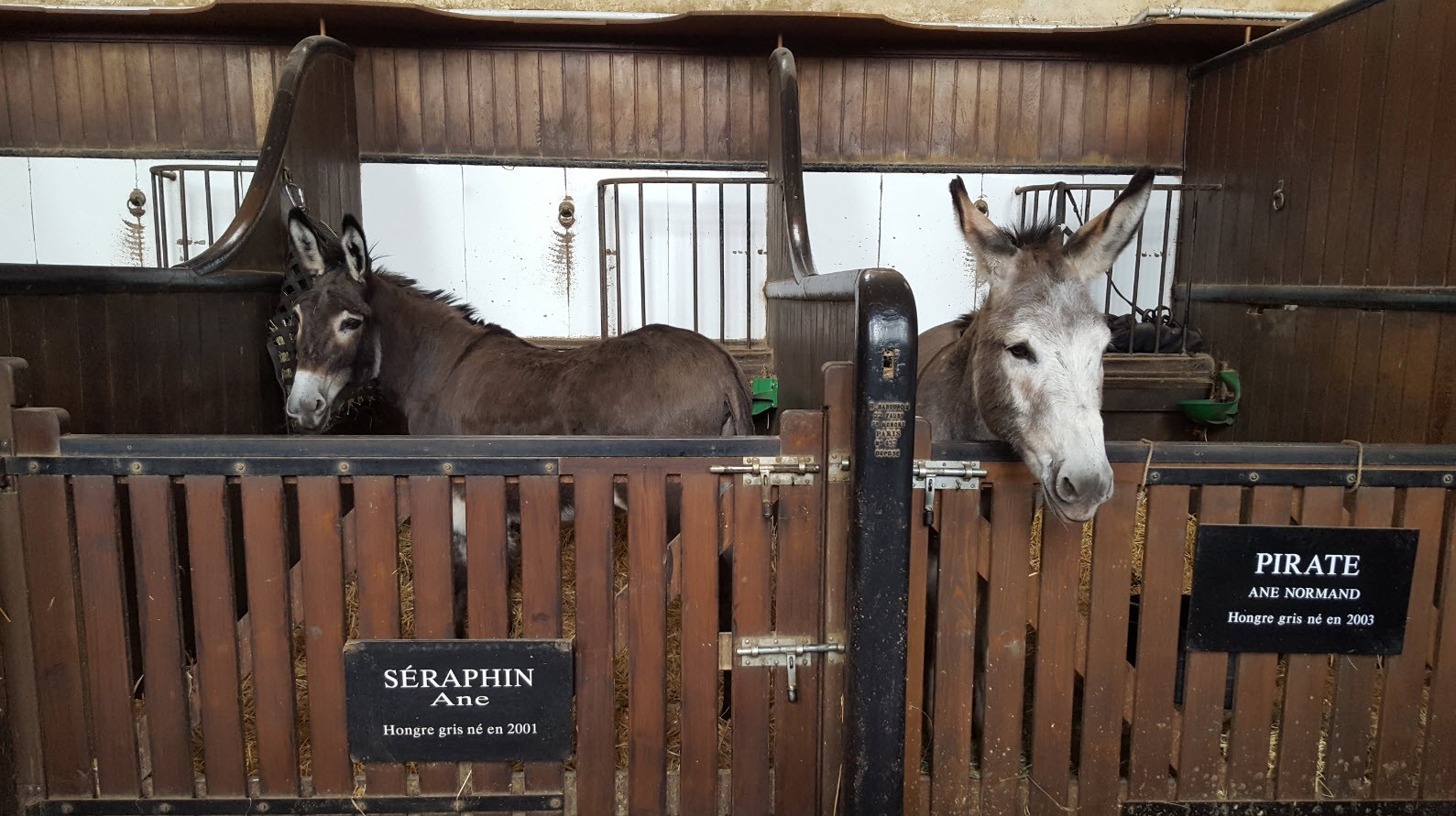 Deux intrus Deux intrus