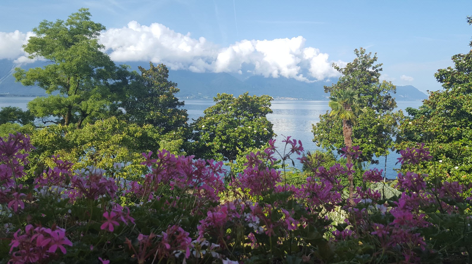 Vue sur le lac Leman Vue sur le lac Leman