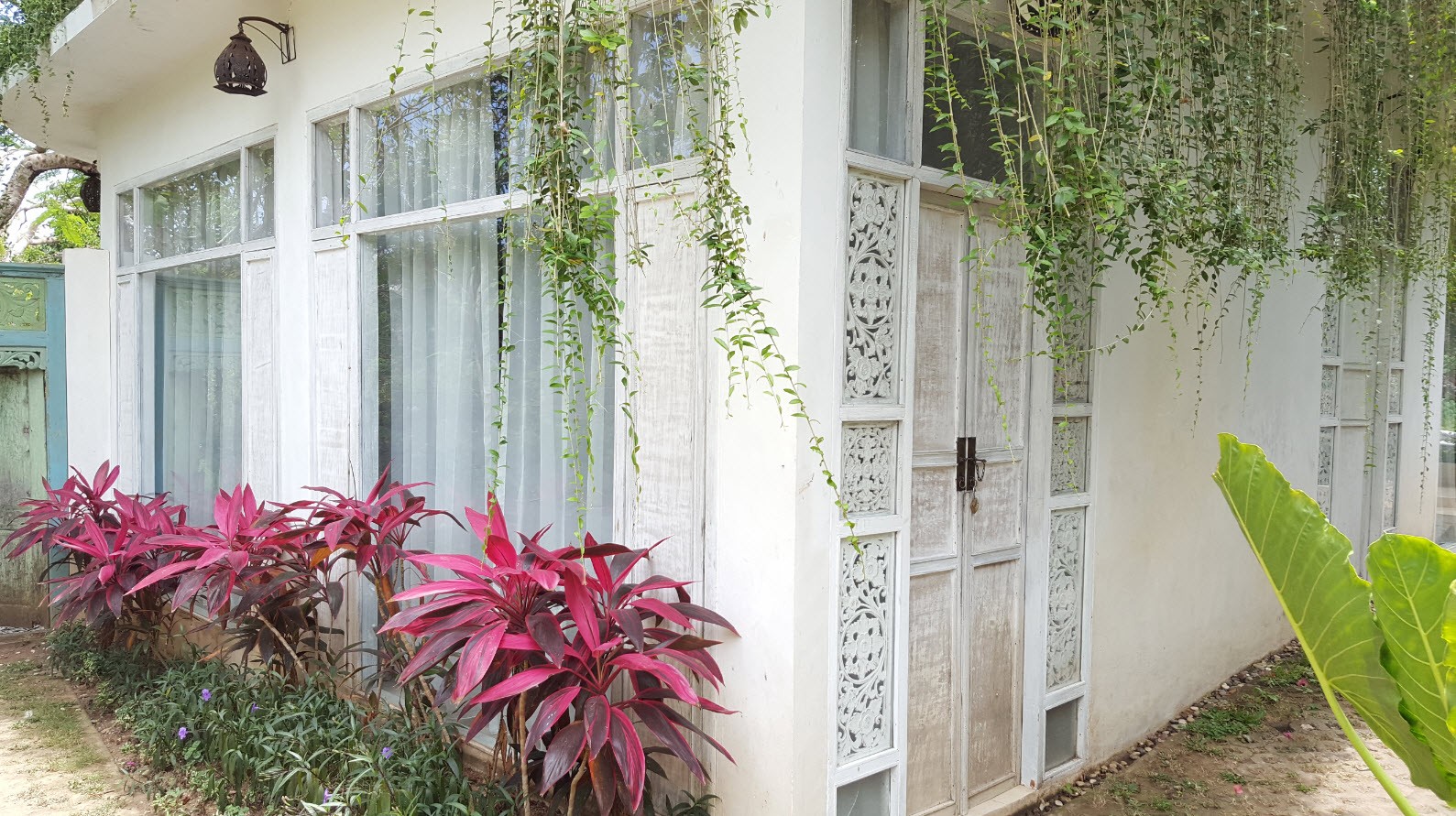 Chambre Tropical 5 Chambre Tropical 5