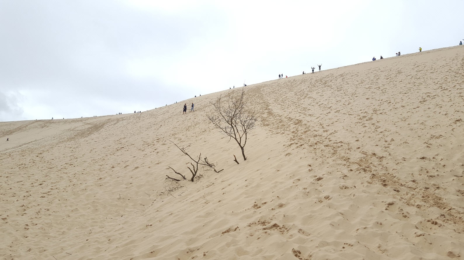 Au pied de la dune du pyla Au pied de la dune du pyla