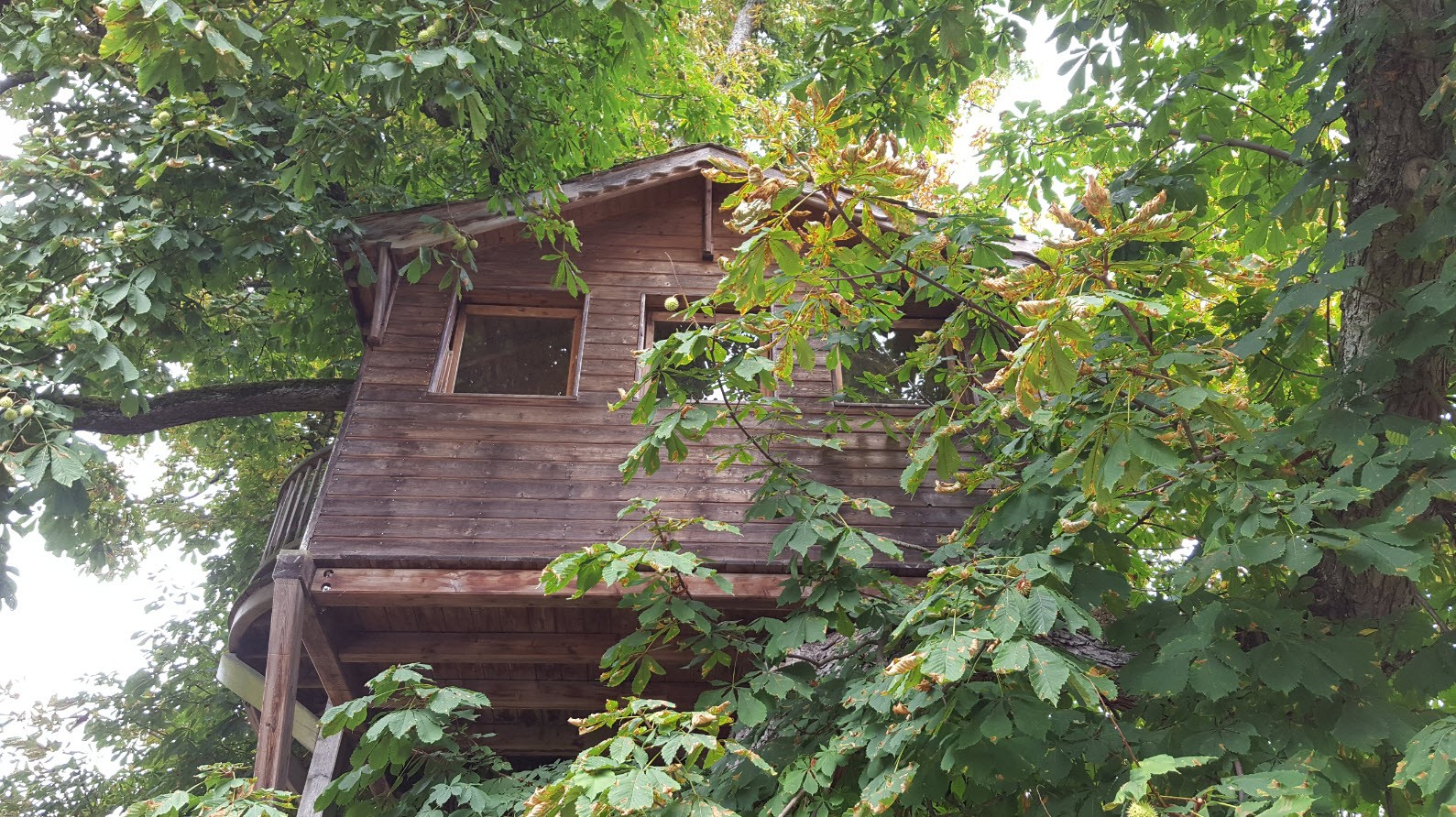 Cabane dans les arbres Cabane dans les arbres