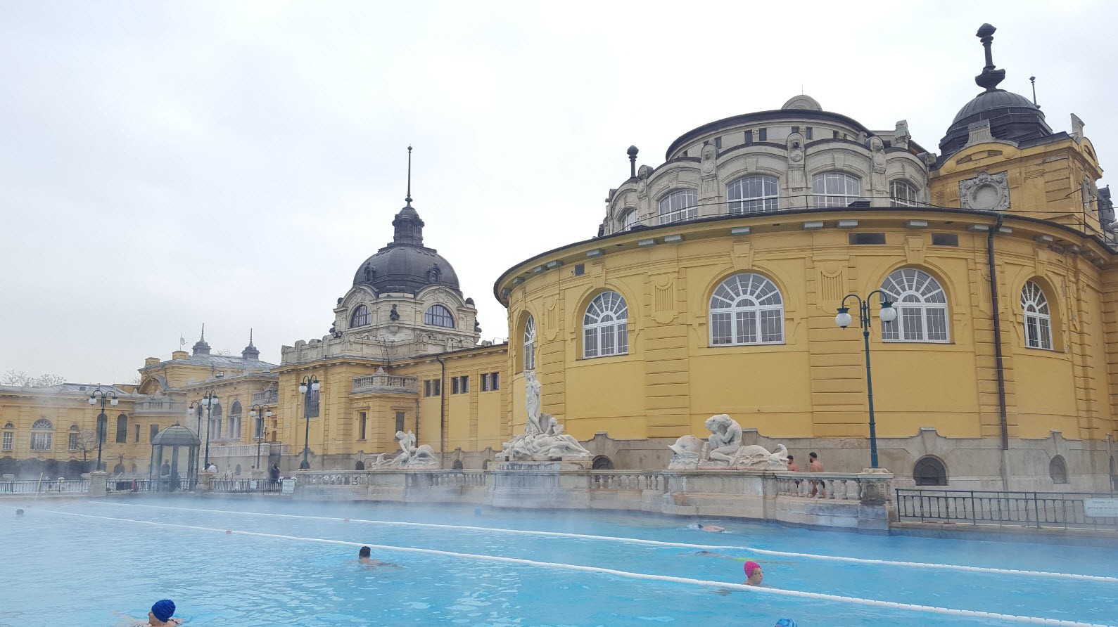 Piscine de nage Piscine de nage