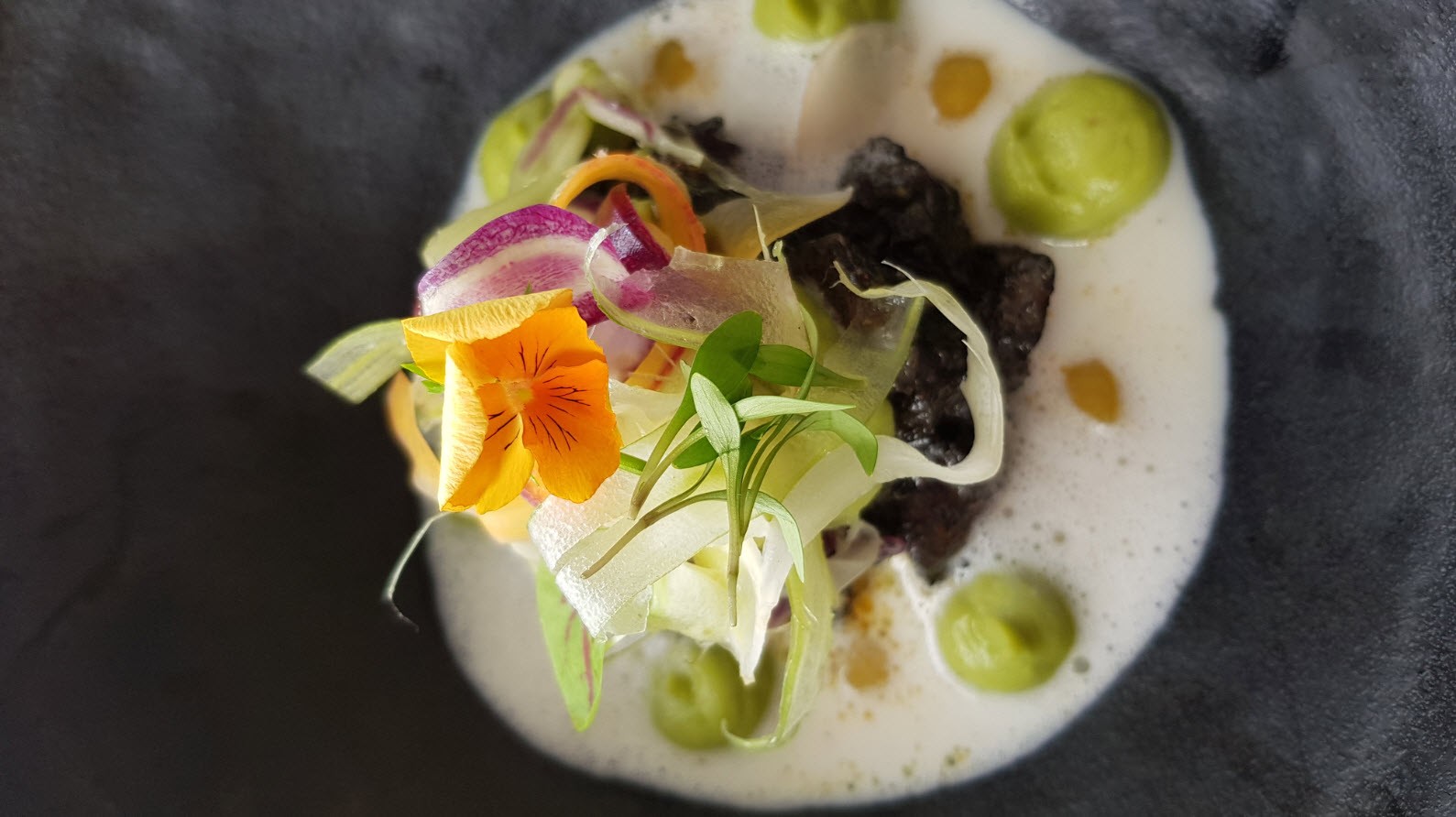 Céviché de bar, curry vert et lait de coco, basilic thaï et combawa Céviché de bar, curry vert et lait de coco, basilic thaï et combawa