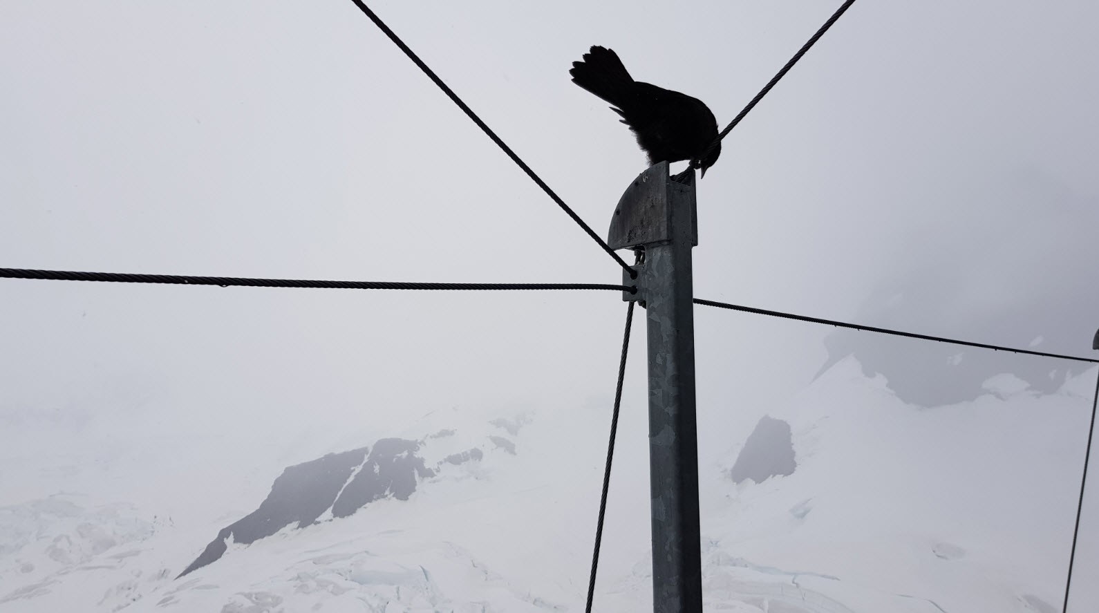 A faire en haut de la Jungfrau Top of Europe A faire en haut de la Jungfrau Top of Europe