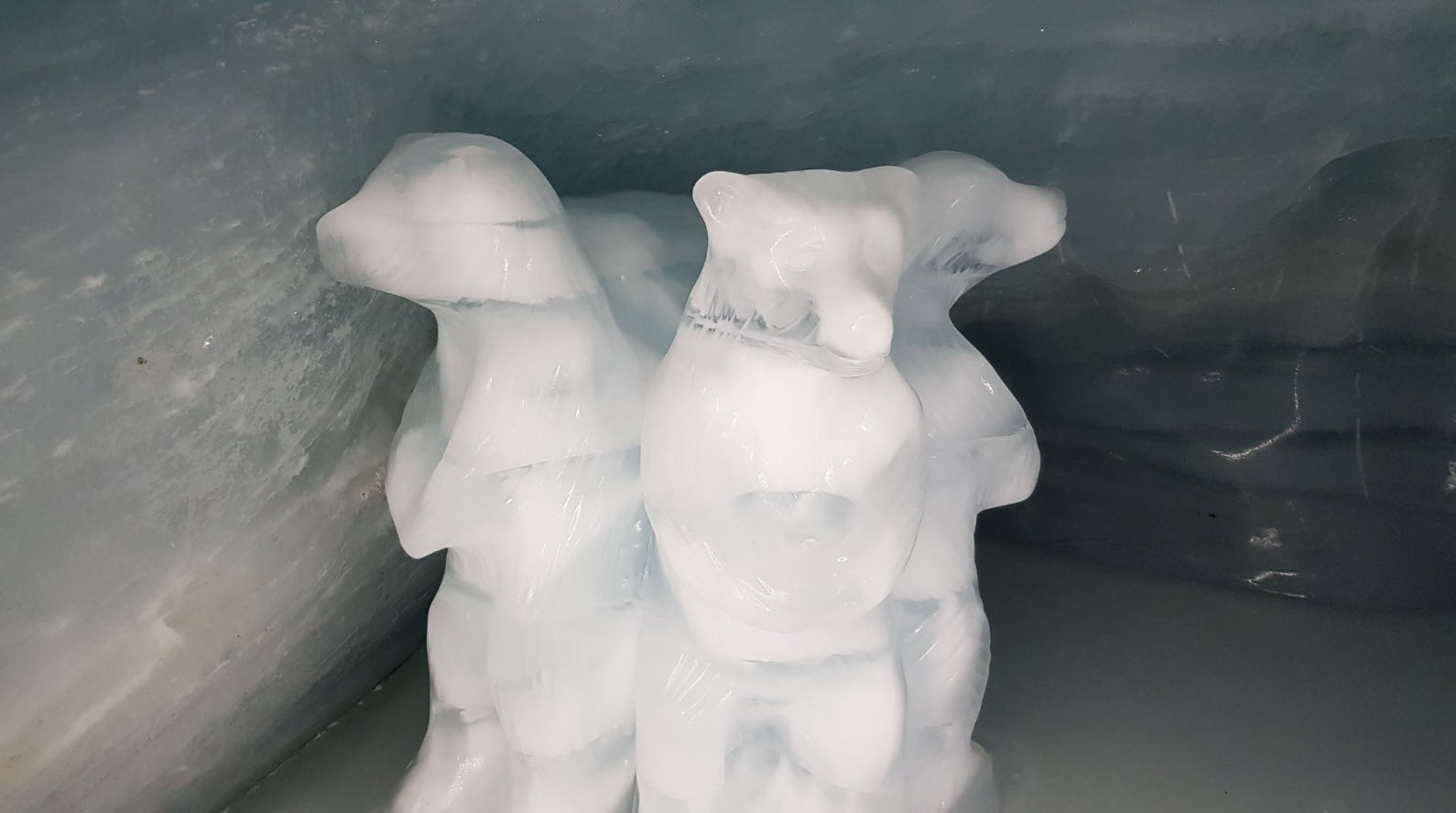 Grotte glace Jungfrau Grotte glace Jungfrau
