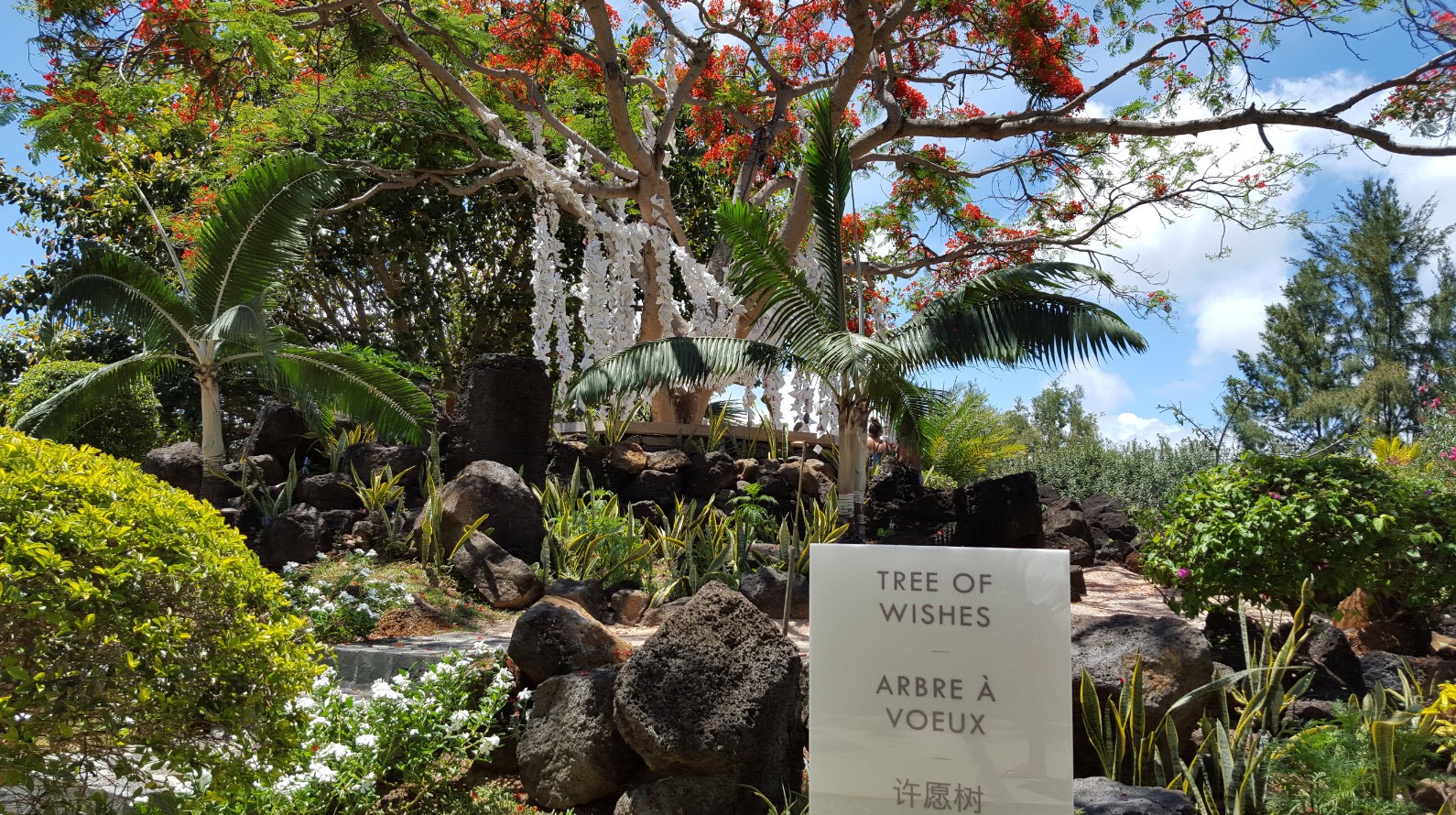Tree of wishes LUX* Tree of wishes LUX*