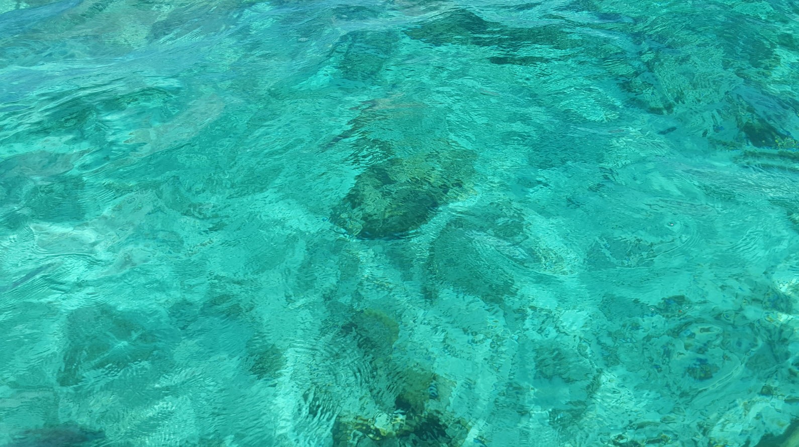 Couleur de l'eau Couleur de l'eau