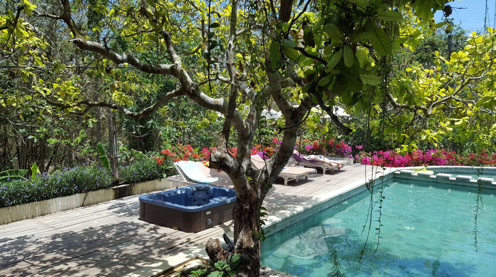 Piscine Piscine