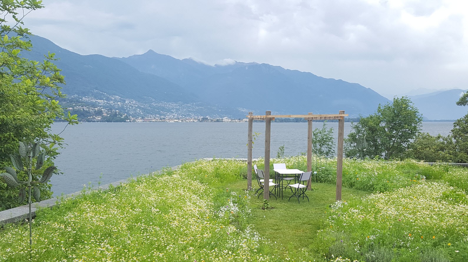 Table romantique au milieu de la vegetation Table romantique au milieu de la vegetation