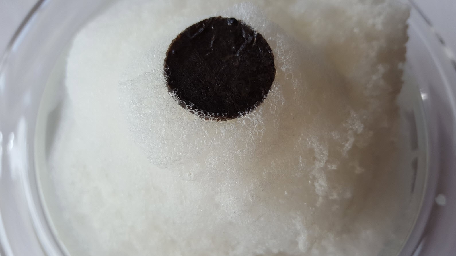 Truffe sur nuage Truffe sur nuage