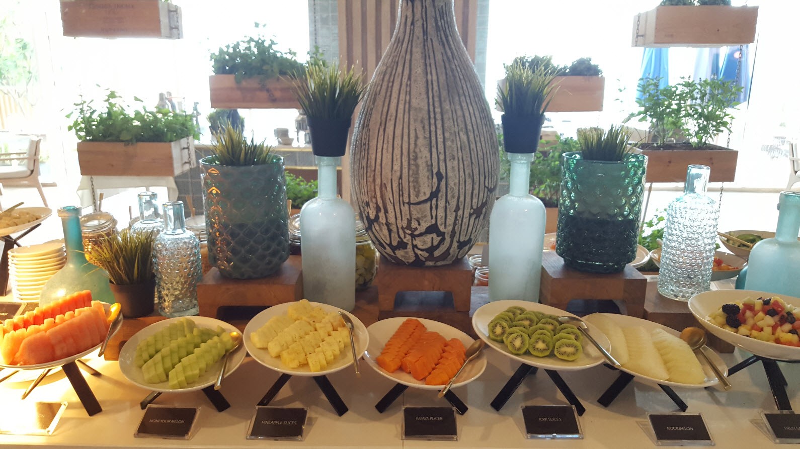 Fruits Fruits
