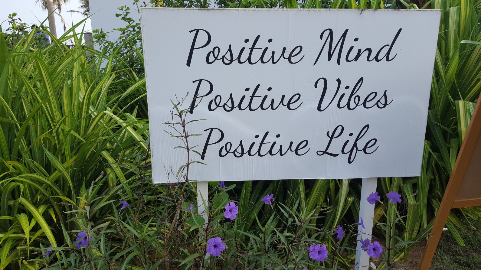 Positive mind Positive mind