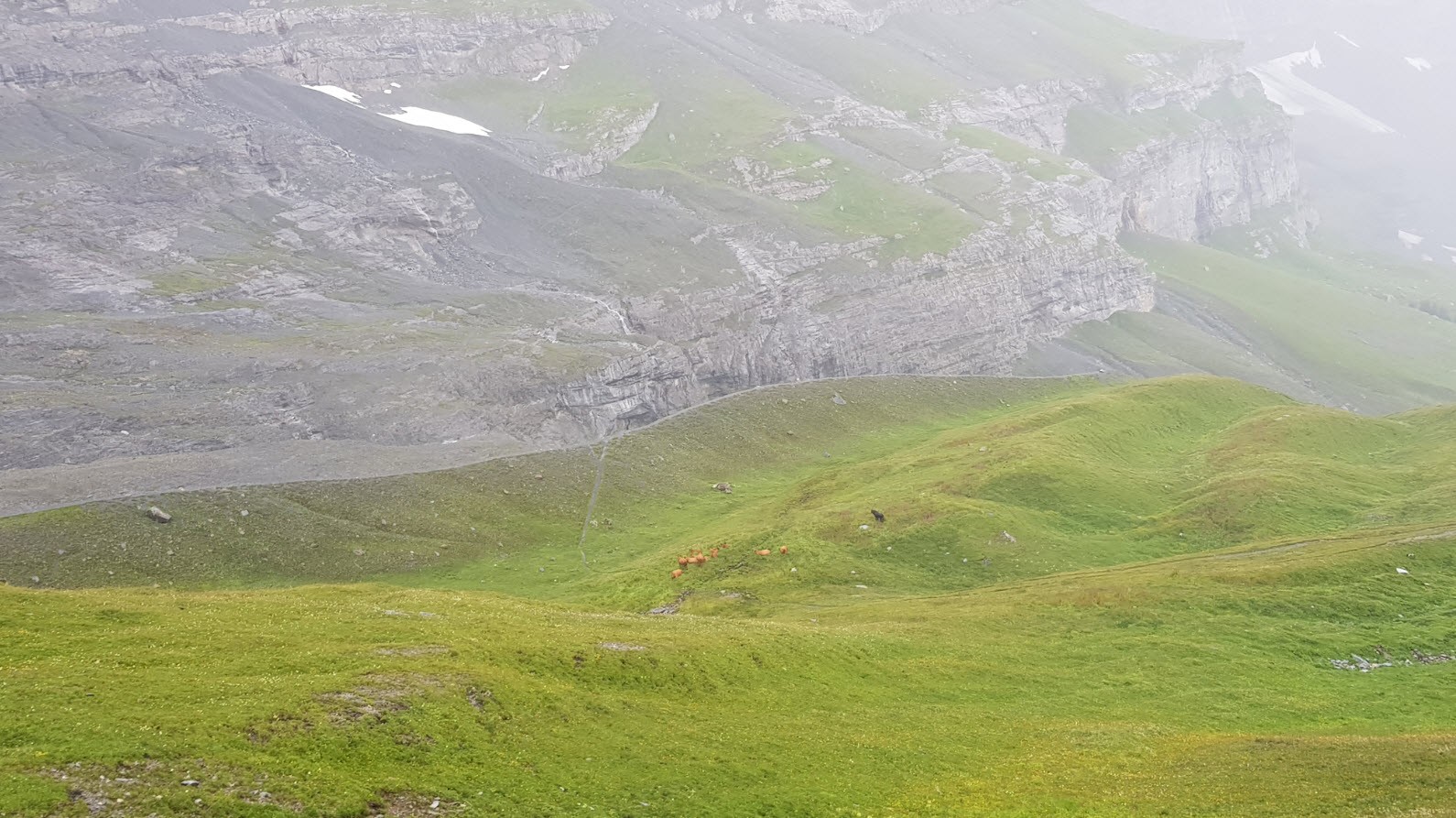 Grindelwald à Kleine Scheidegg en train Grindelwald à Kleine Scheidegg en train