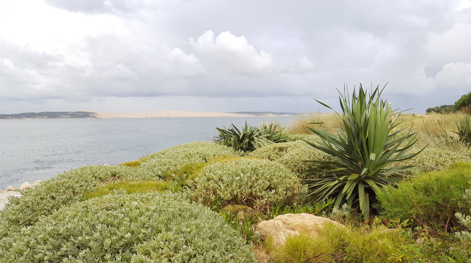 La dune depuis le Cap Ferret La dune depuis le Cap Ferret