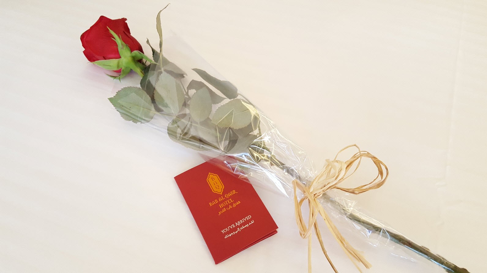 Rose de bienvenue Rose de bienvenue