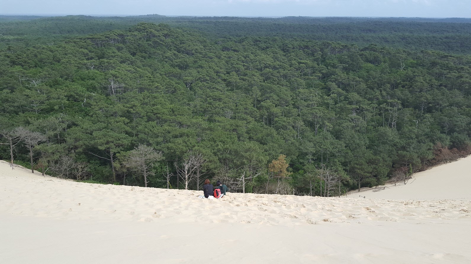Cote foret Cote foret
