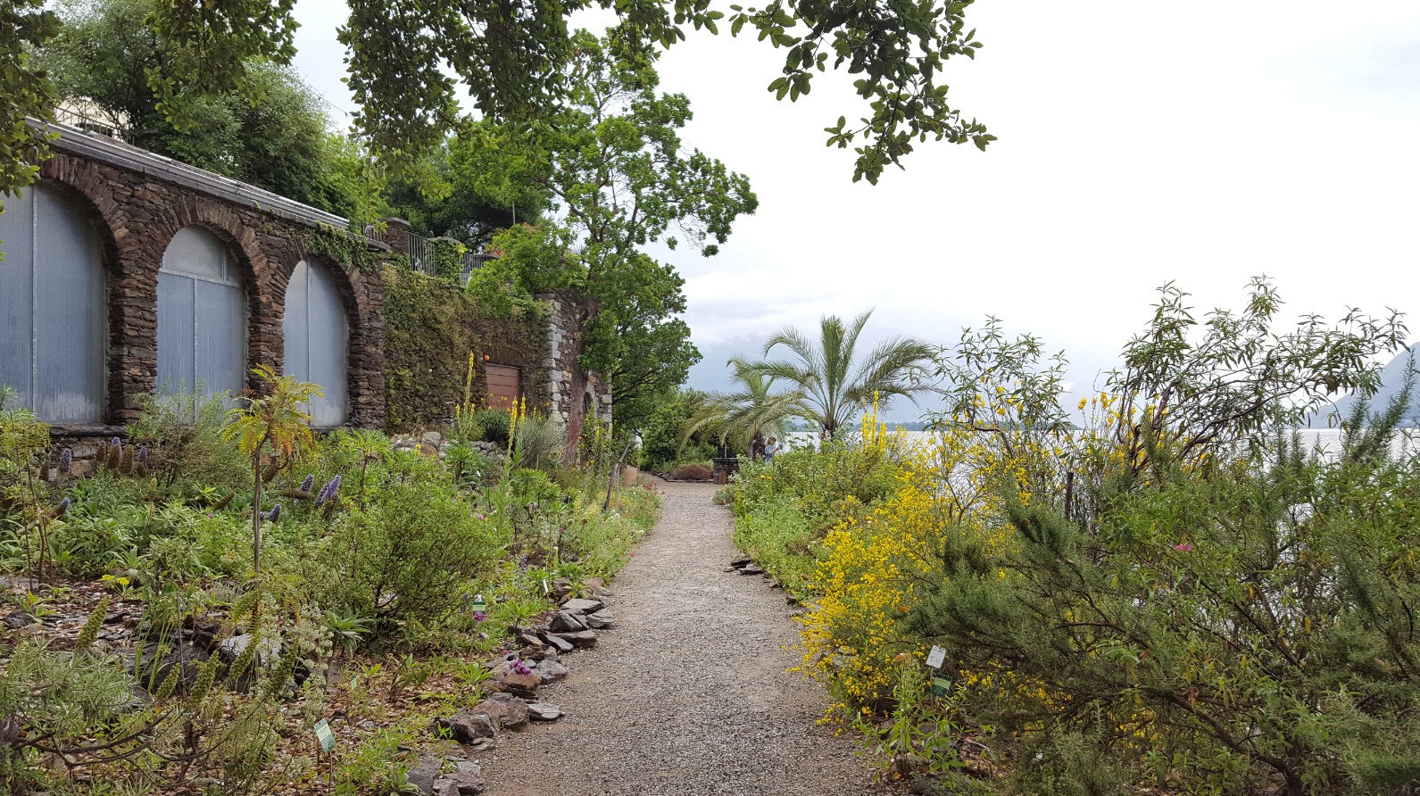 Jardin Isole di Brissago Jardin Isole di Brissago