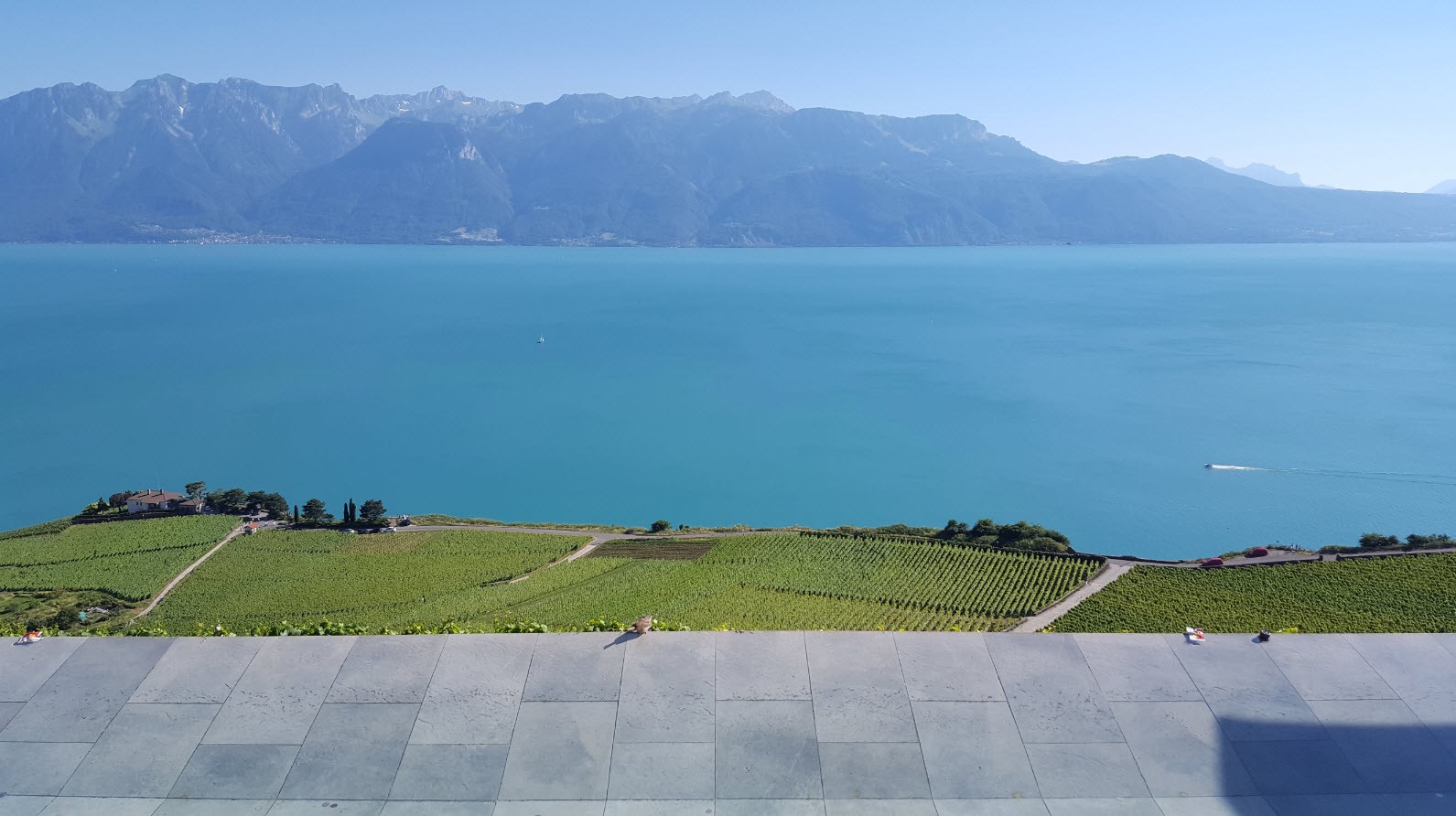 Terrasse panoramique dans le Lavaux Terrasse panoramique dans le Lavaux