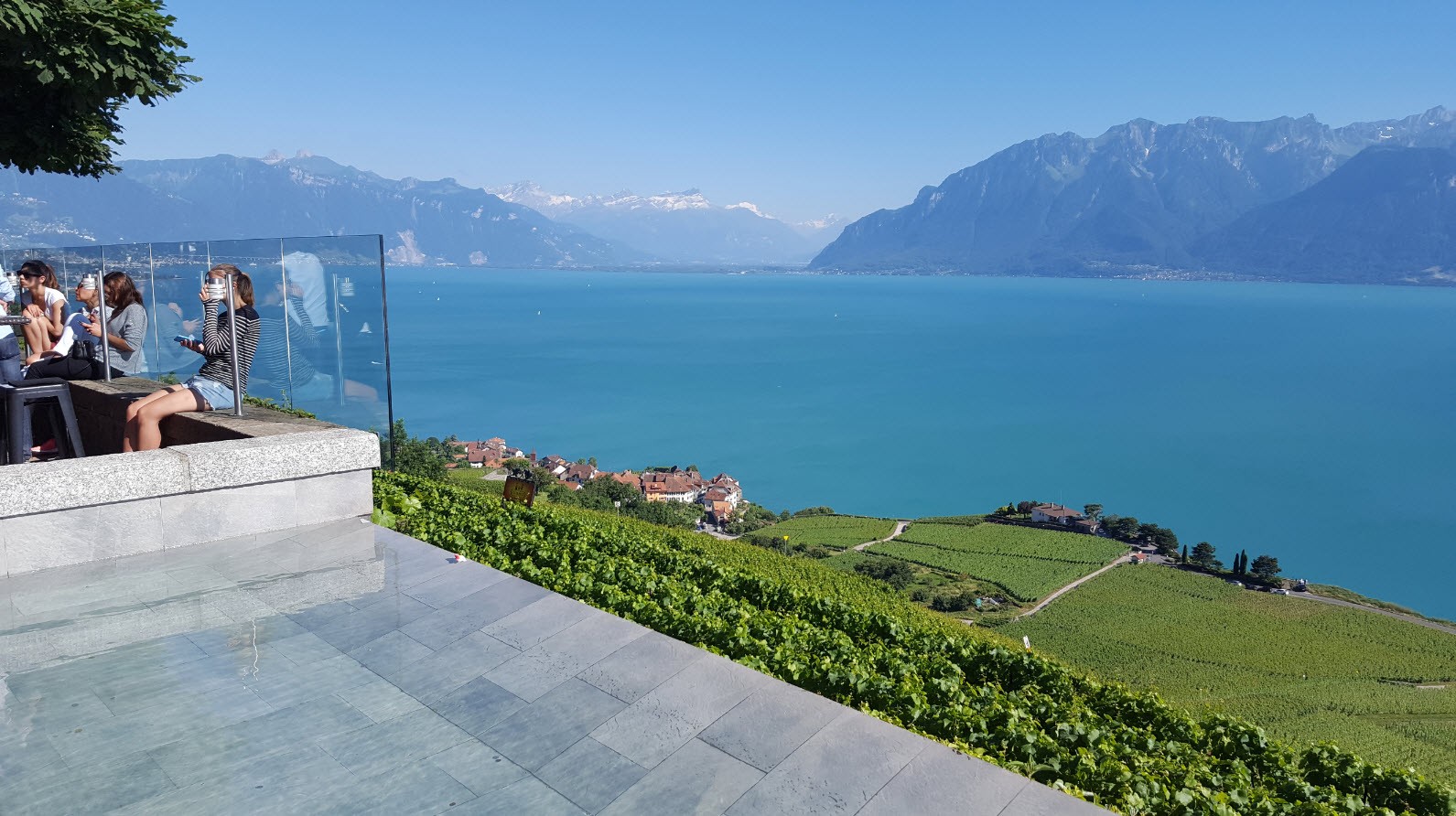 Bar lounge au milieu des vignes dans le canton de Vaud Bar lounge au milieu des vignes dans le canton de Vaud