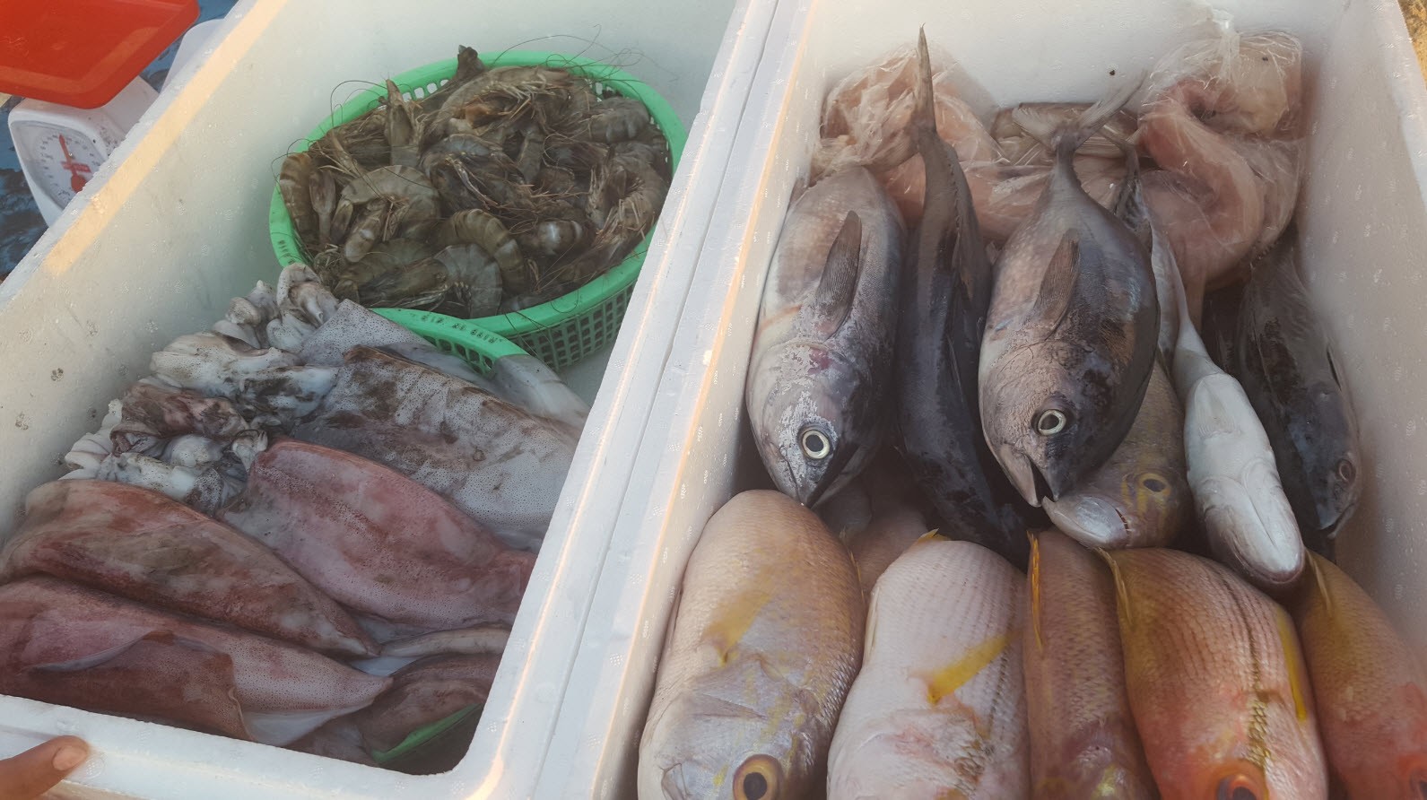 Poisson frais Bingin Beach Poisson frais Bingin Beach