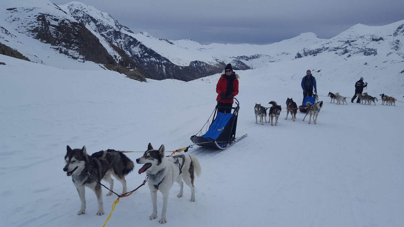 Sur le traineau Sur le traineau
