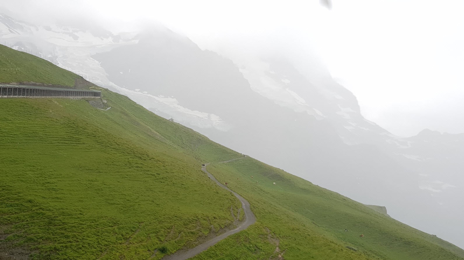 Grindelwald à Kleine Scheidegg en train Grindelwald à Kleine Scheidegg en train
