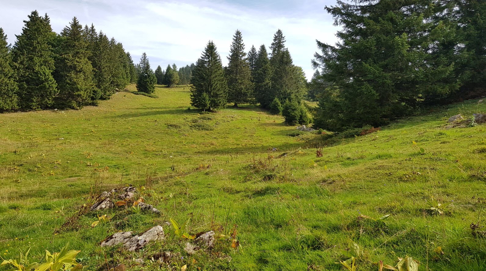 Balade facile Canton Vaud Balade facile Canton Vaud