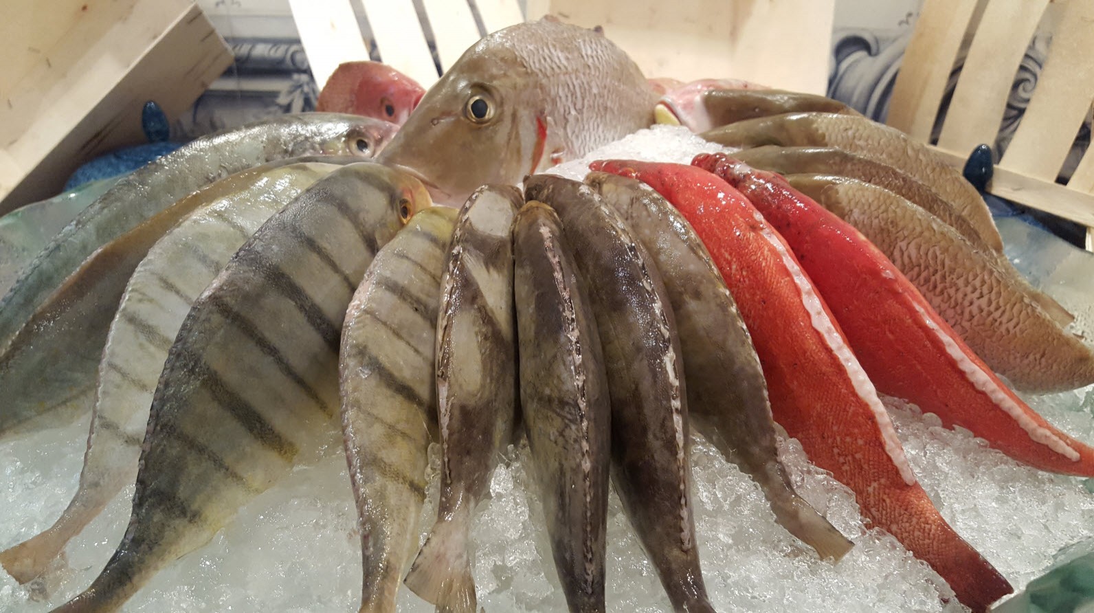 Buffet poissons Buffet poissons